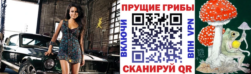 Псилоцибиновые грибы MAGIC MUSHROOMS  Белово 